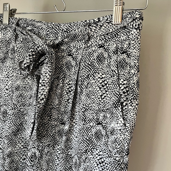 Joie Silk Pants - Picture 3 of 12